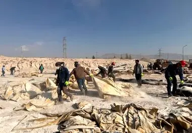 همزمان با روز جهانی خاک؛
همایش محیط‌زیستی و زنگ 5S در شرکت آلومینای ایران برگزار شد