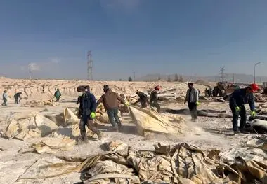 همزمان با روز جهانی خاک؛
همایش محیط‌زیستی و زنگ 5S در شرکت آلومینای ایران برگزار شد