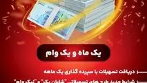 *یک ماه و یک وام*
