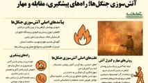 آتش سوزی جنگل ها/ راه های پیشگیری مقابله و مهار