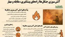 آتش سوزی جنگل ها/ راه های پیشگیری مقابله و مهار