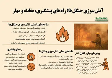 آتش سوزی جنگل ها/ راه های پیشگیری مقابله و مهار