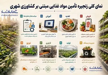 اینفوگرافی