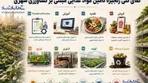 اینفوگرافی