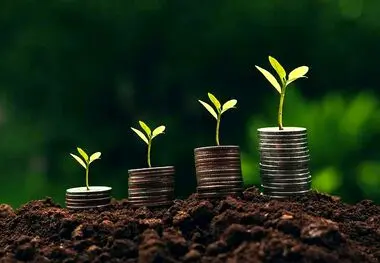 چطور یک سبد سرمایه‌گذاری سودده داشته باشیم؟
