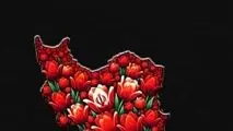 بیانیه دکتر بادکوبه مدیر عامل و عضو هیأت مدیره شرکت آلومینای ایران در محکومیت حمله جنایتکار رژیم صهیونیستی به ایران عزیز