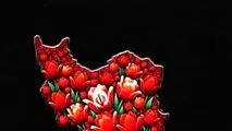بیانیه دکتر بادکوبه مدیر عامل و عضو هیأت مدیره شرکت آلومینای ایران در محکومیت حمله جنایتکار رژیم صهیونیستی به ایران عزیز