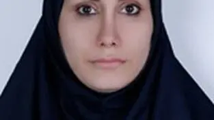 شاید دیپلماسی اقتصادی 