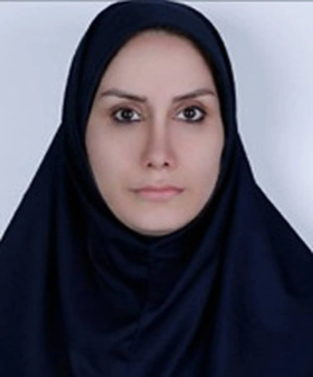 شاید دیپلماسی اقتصادی 