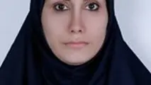 شاید دیپلماسی اقتصادی 