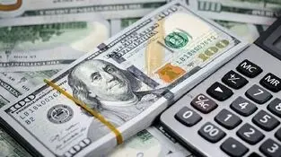 موفقیت صندوق جذب ارزهای خانگی در گرو بازسازی اعتماد عمومی و نظارت شفاف است