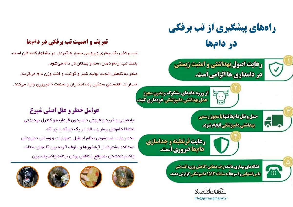 راه های پیشگیری از تب برفکی