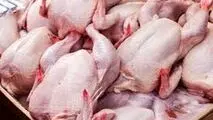 حداکثر قیمت مرغ گرم ۹۰ هزار تومان