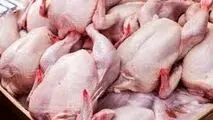 حداکثر قیمت مرغ گرم ۹۰ هزار تومان