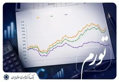 رئیس‌کل بانک مرکزی:
