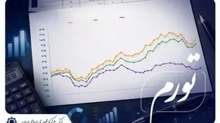 رئیس‌کل بانک مرکزی:
