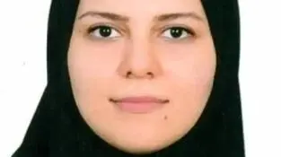 نهادها؛ حلقه مفقوده میان ظرفیت و پیشرفت