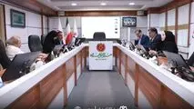 برگزاری جلسات کمیته‌های مبارزه با پولشویی، ریسک، مدیریت تعارض منافع* 


