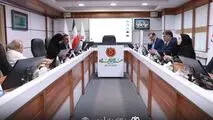 برگزاری جلسات کمیته‌های مبارزه با پولشویی، ریسک، مدیریت تعارض منافع* 

